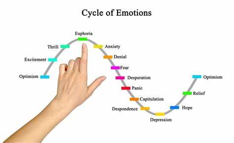 The Cycle of Emotional Regulation: A Path to Emotional Balance